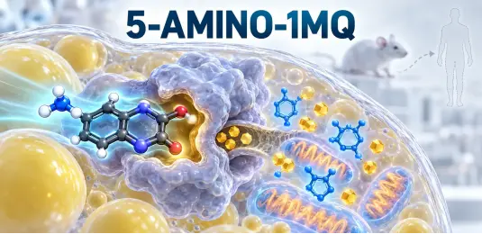 5 Amino 1MQ: Research Guide, Benefits, and How It Works