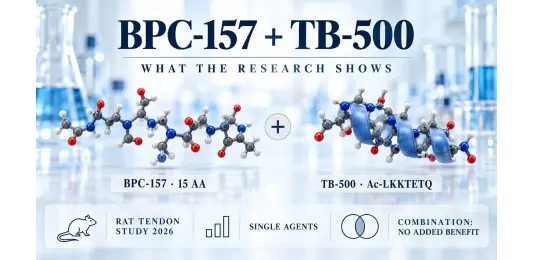 BPC-157 and TB-500 Together: What the Research Actually Shows