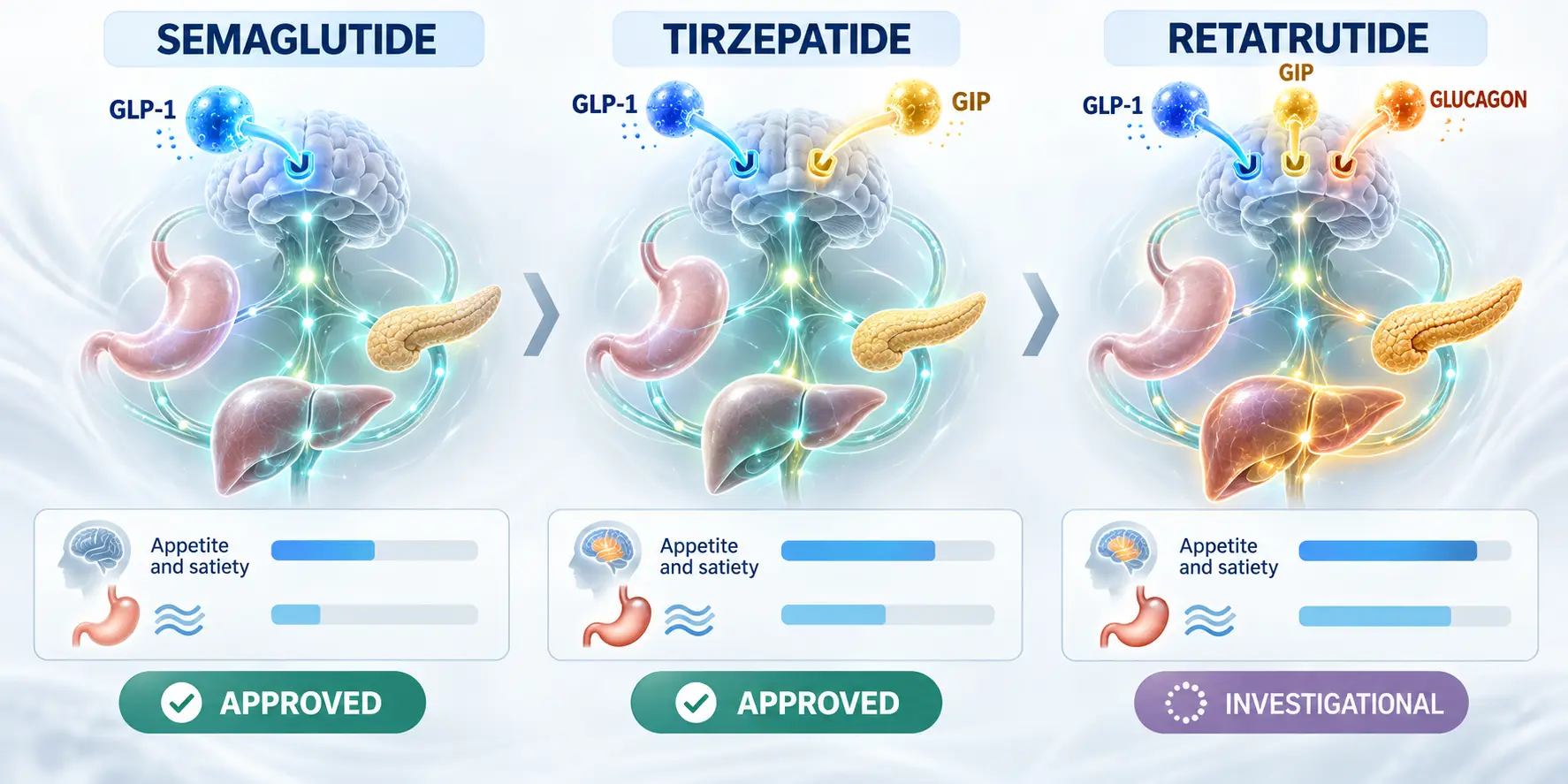 Semaglutide vs Tirzepatide vs Retatrutide: What’s the Difference?